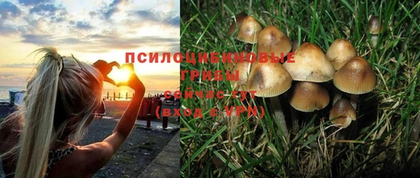 прущая мука Беломорск
